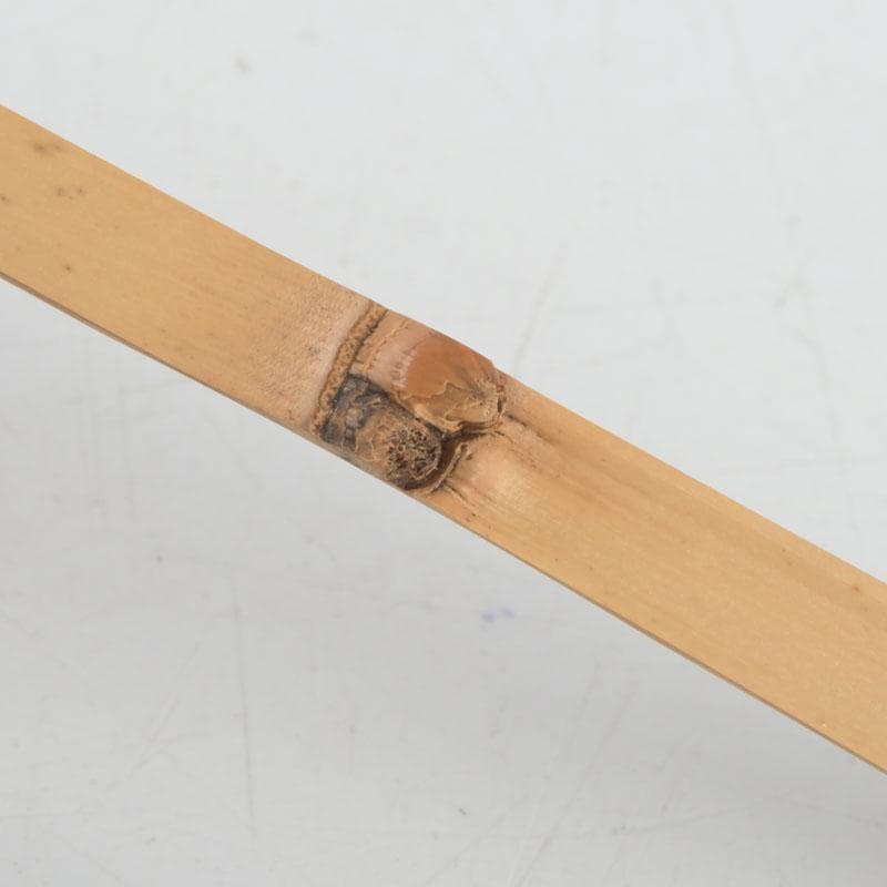 茶道具　影林宗篤作　茶杓　銘古今　前大徳　福本積應書付　共筒共箱　V　9421