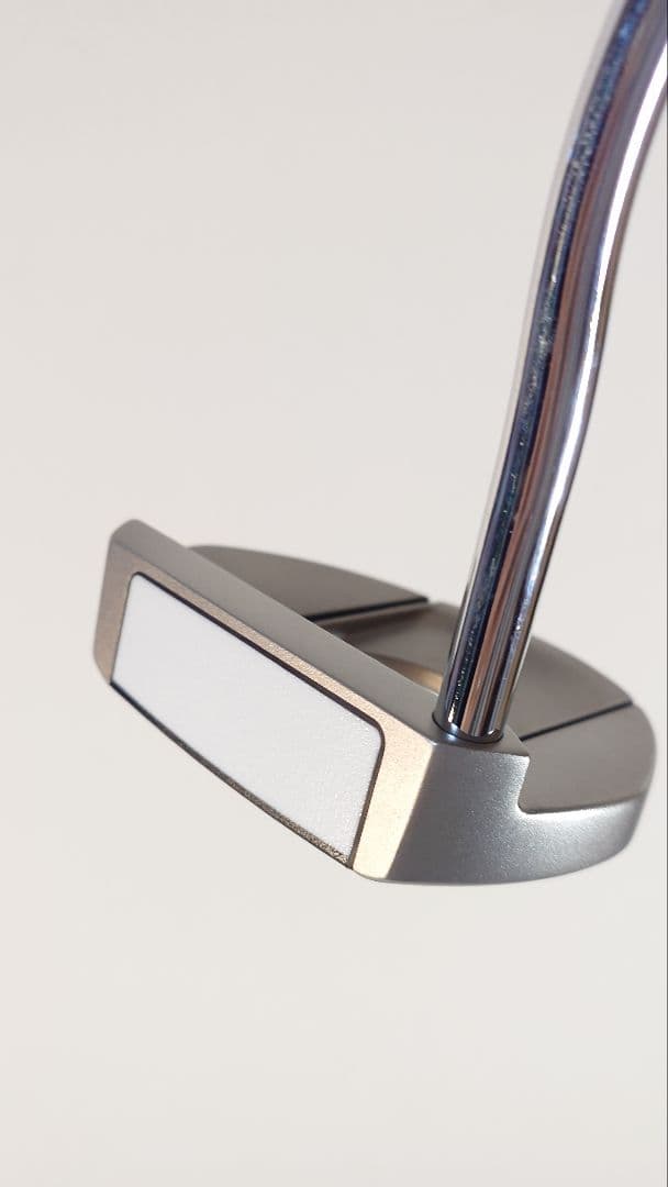 ピンＰＩＮＧ　ＦＥＴＣＨ（２０２４）　３４インチ