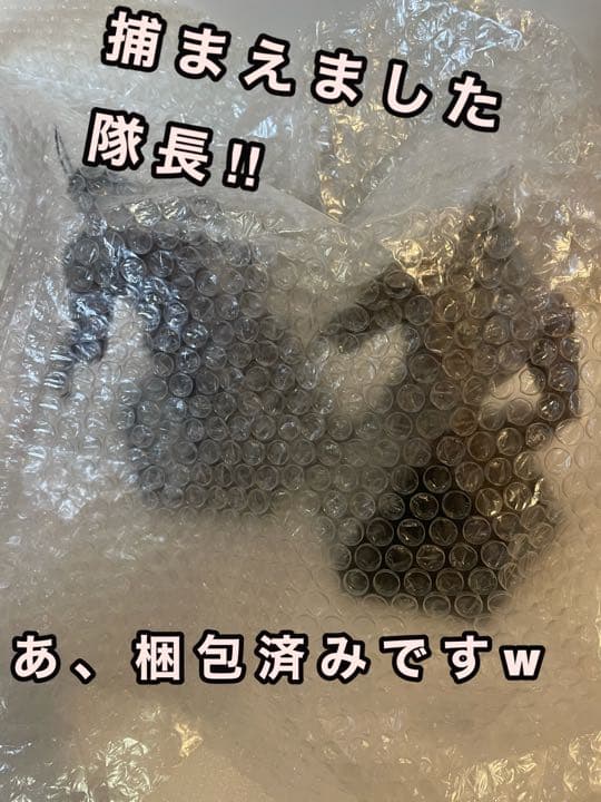 売却済　テラフォーマーズ　ゴキブリ　ジョージ