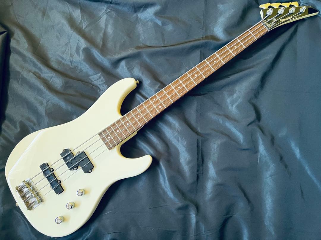 FERNANDES LIMITEDEDITION エレキベースBASS ケース付
