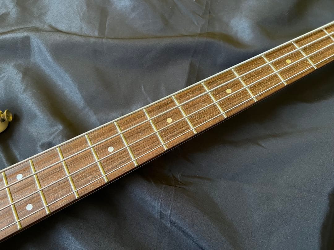FERNANDES LIMITEDEDITION エレキベースBASS ケース付