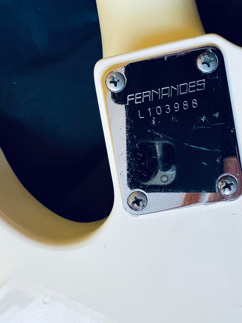 FERNANDES LIMITEDEDITION エレキベースBASS ケース付
