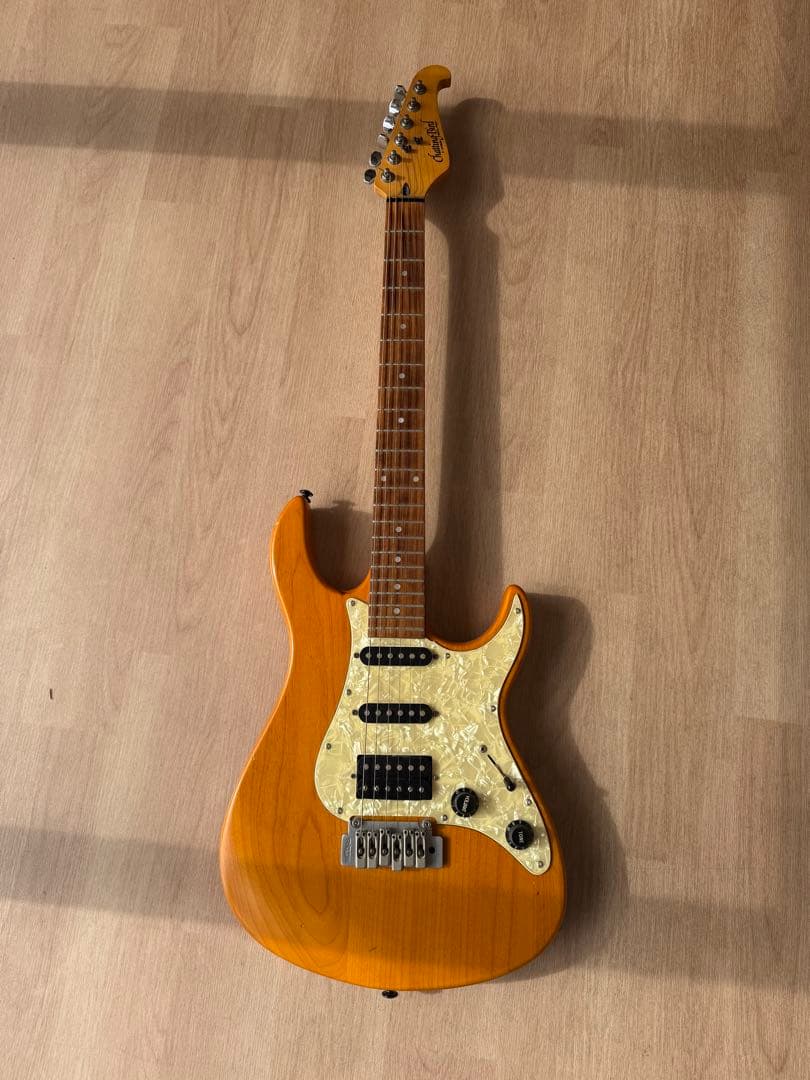 Chatting Bird Stratocaster エレキギター