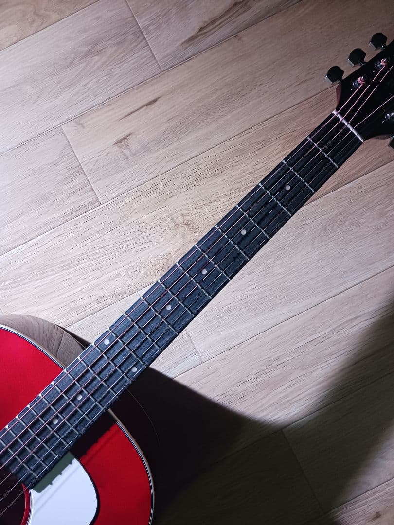 Morris モーリス G-021E WR エレアコ