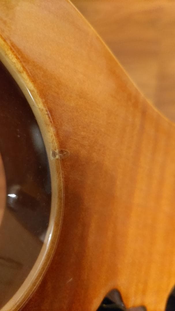 Ann　Ibanez RG8670 VV J-CUSTOM