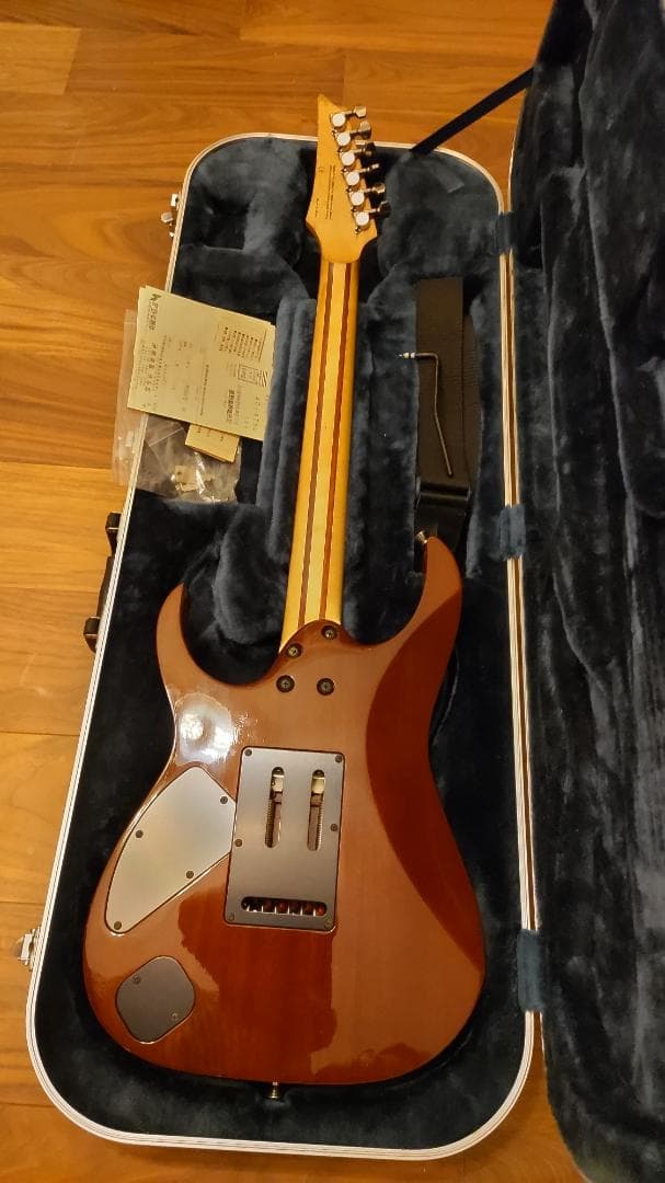 Ann　Ibanez RG8670 VV J-CUSTOM