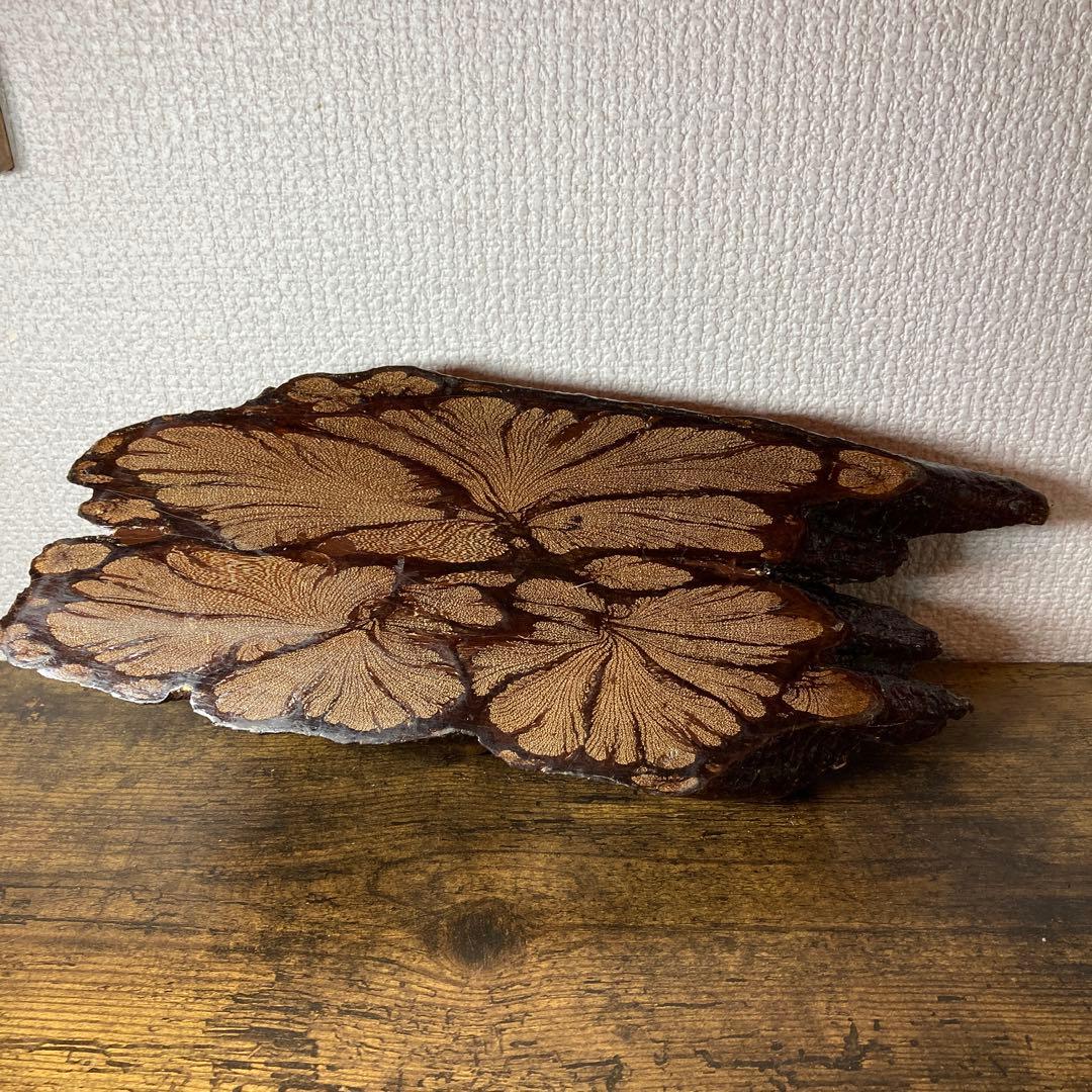 E-壁 【希少】アンティーク 樺細工 天然木 喫煙具セット灰皿・煙草入れ