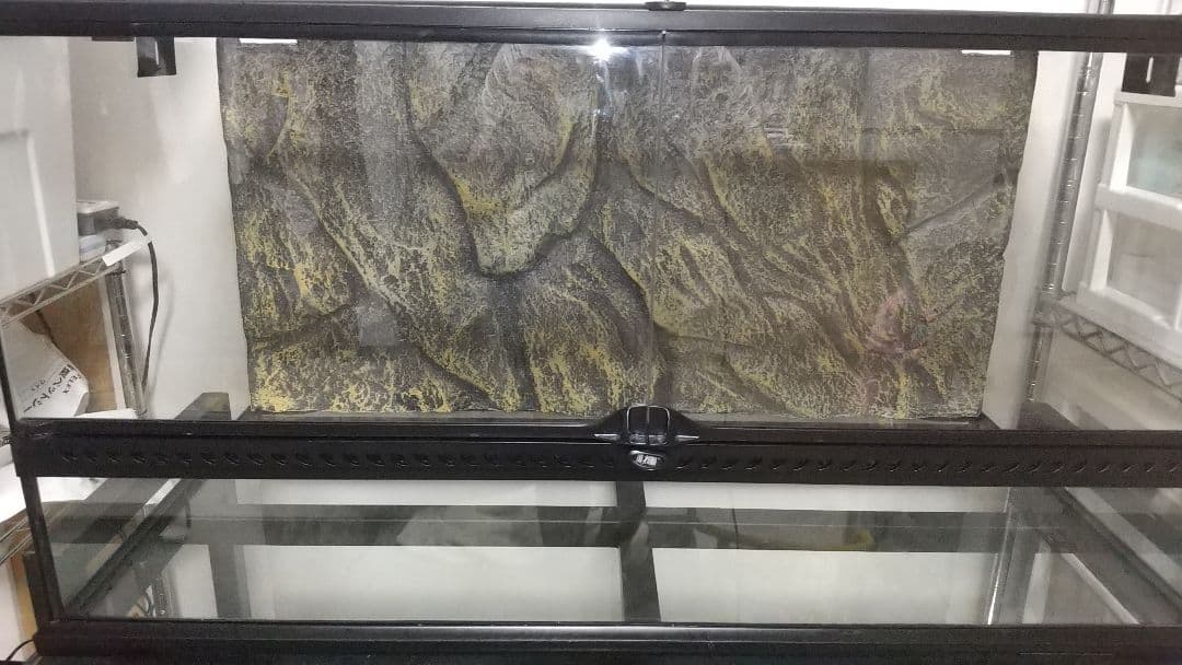 GEX グラステラリム9045