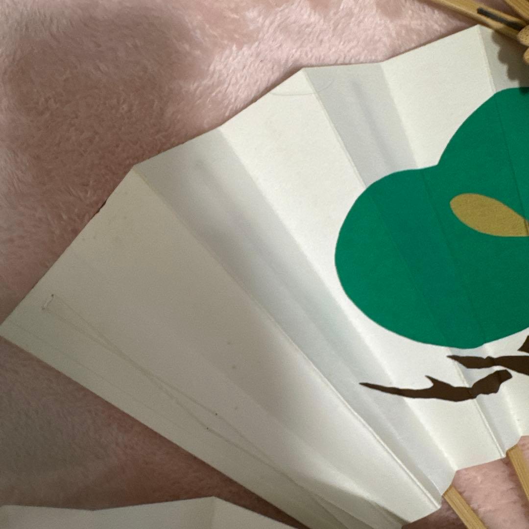 郷土芸能扇子 8本セット 緑と白　松づくし