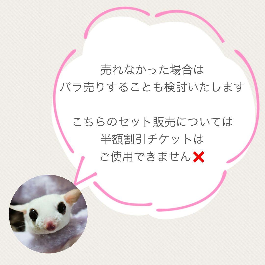 第2回⑤【バレンタインオリジナル生地】＊ころんと日和＊フクロモモンガ＊小動物