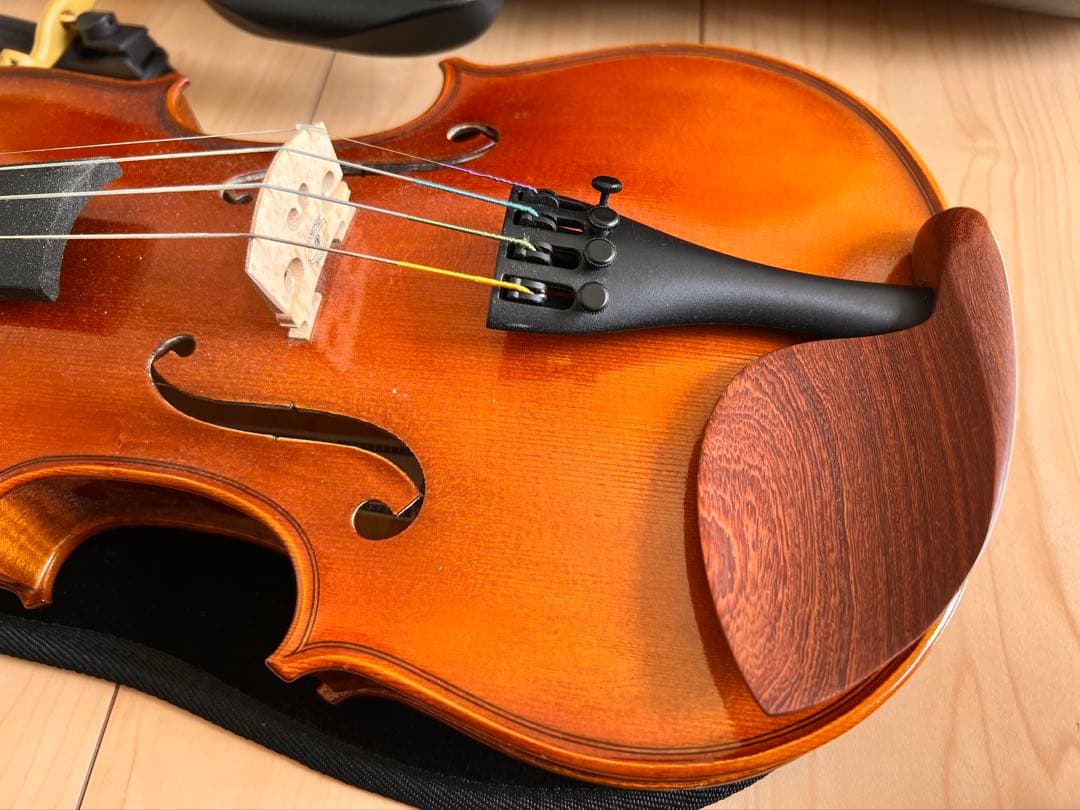 Pyroviolin 4/4バイオリン本体Gewaケース付き