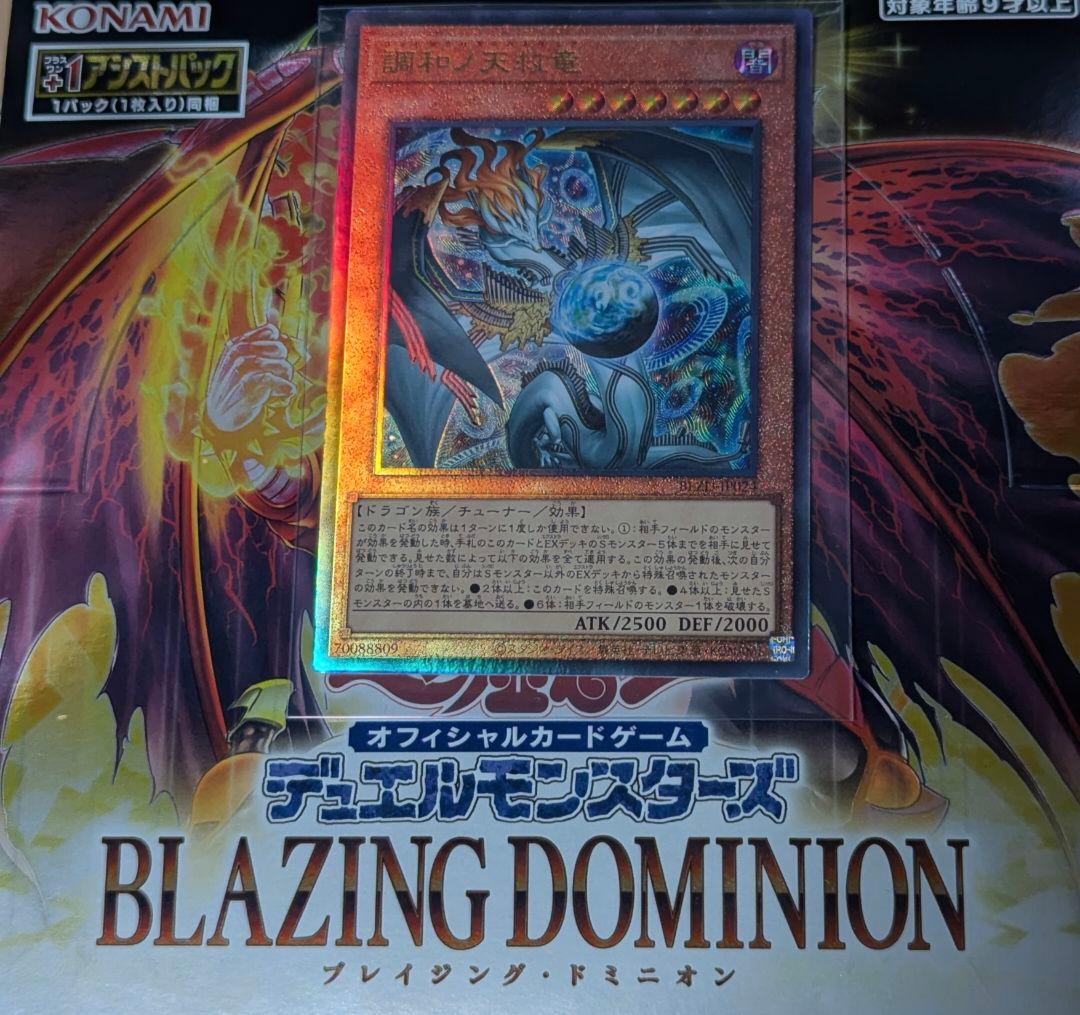 レリーフ　遊戯王OCG　調和ノ天救竜