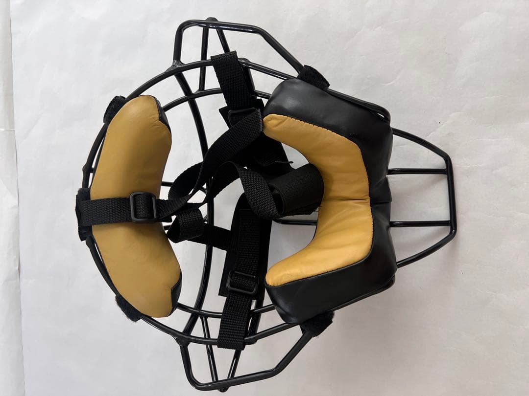 審判用プロテクター (マスク、左手用)、インジケーター、ブラシとハケ