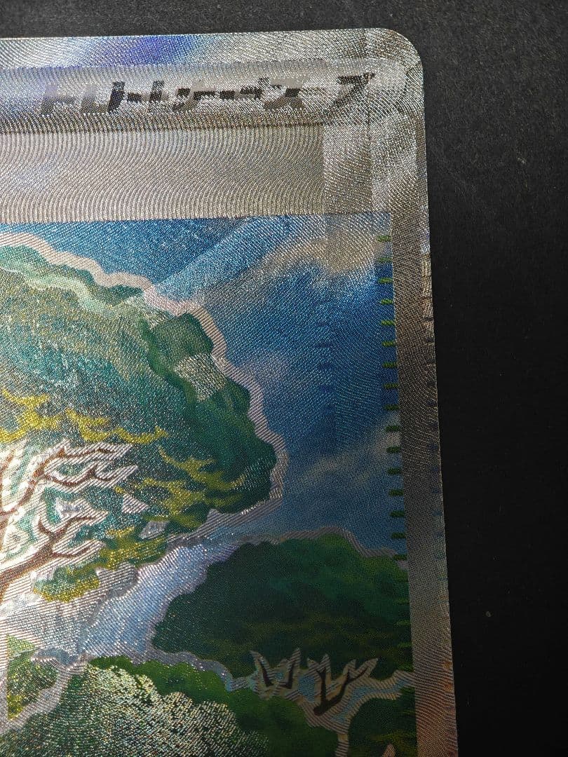 活力の森 エラーカード 109/189