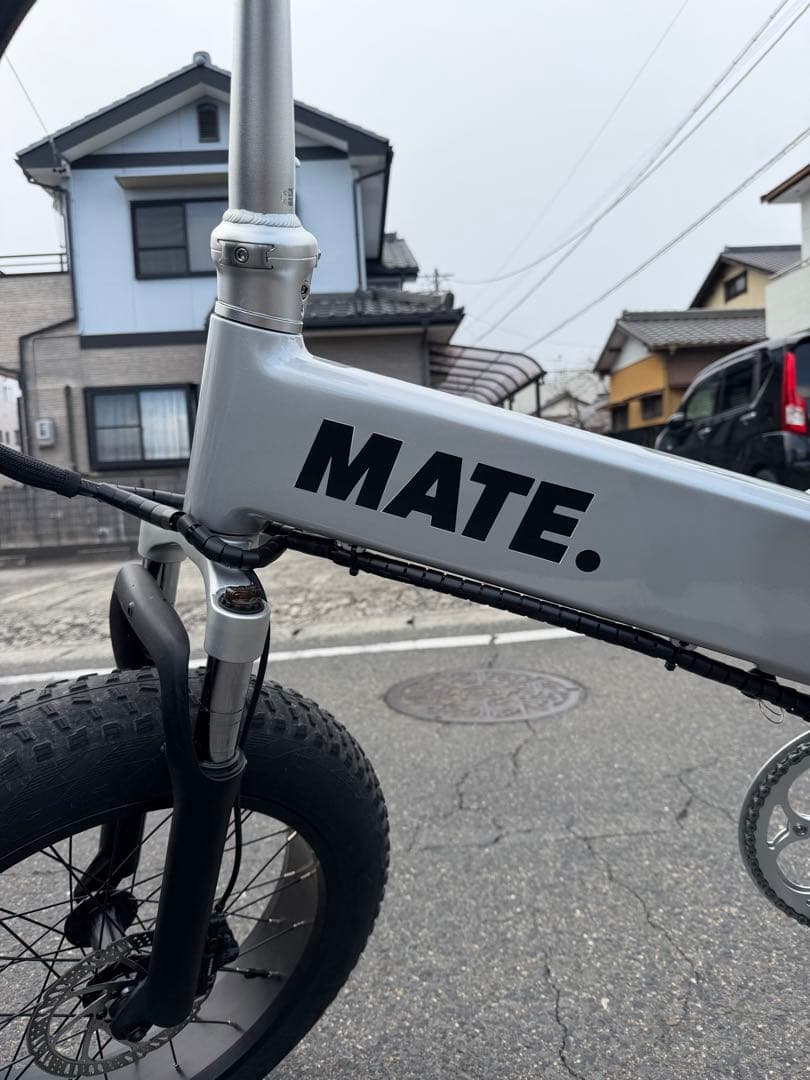 MATE X 250 MATEBAIKEほぼ新品　新発売カラー　シルバー