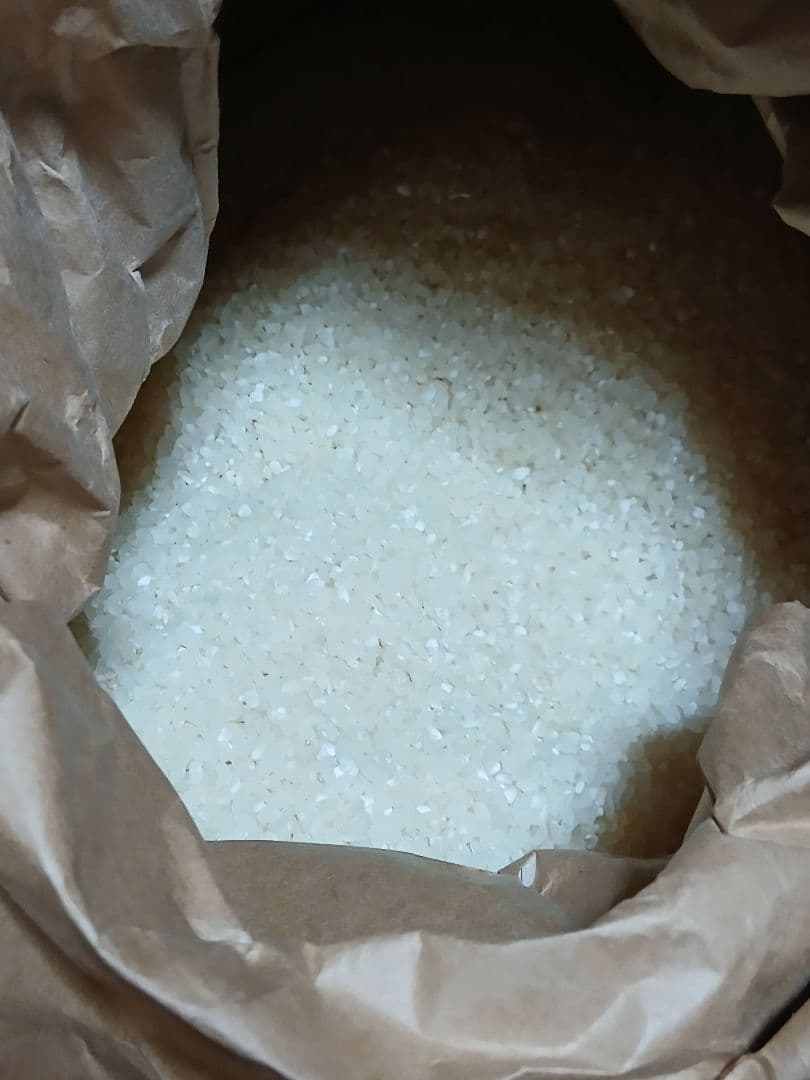 令和7年産 新米 袋込約 16キロ あきたこまち 中米 白米 無洗米 精米