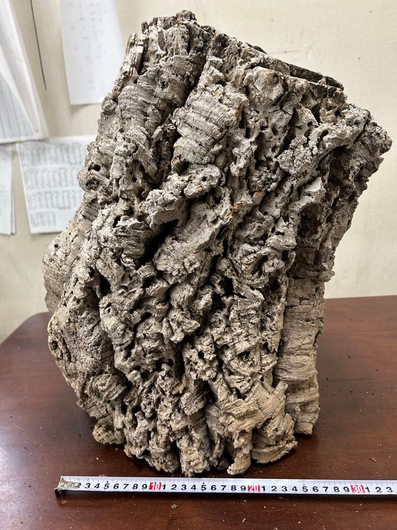 ポルトガル産コルク樹皮ＰＬ-1029-Ｌ12