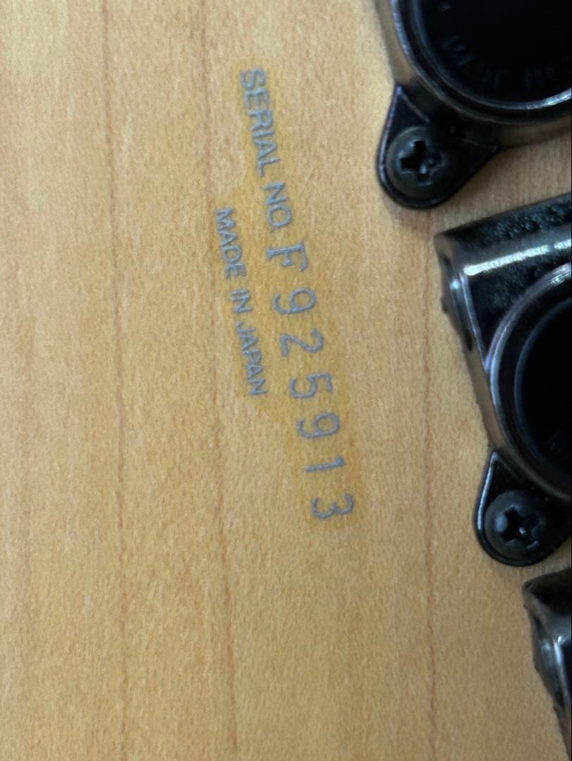 アイバニーズ　PGM100 ポールギルバートモデル