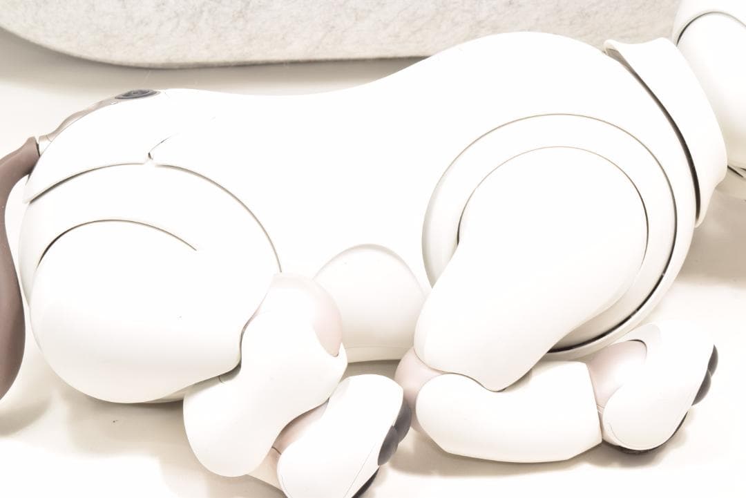 ソニー アイボ ERS-1000 アイボーン ボール AIBO 犬型 SONY