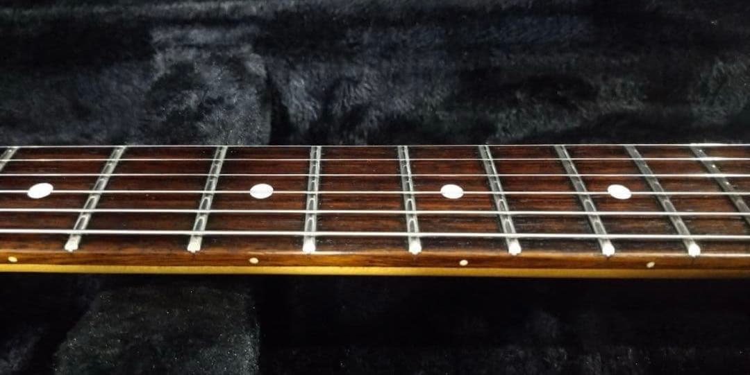 FERNANDES 　STC-50　Allan Holdwarth