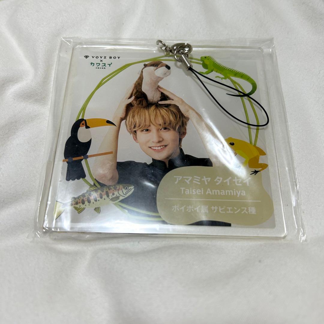 雨宮大晟 voyzboy unify