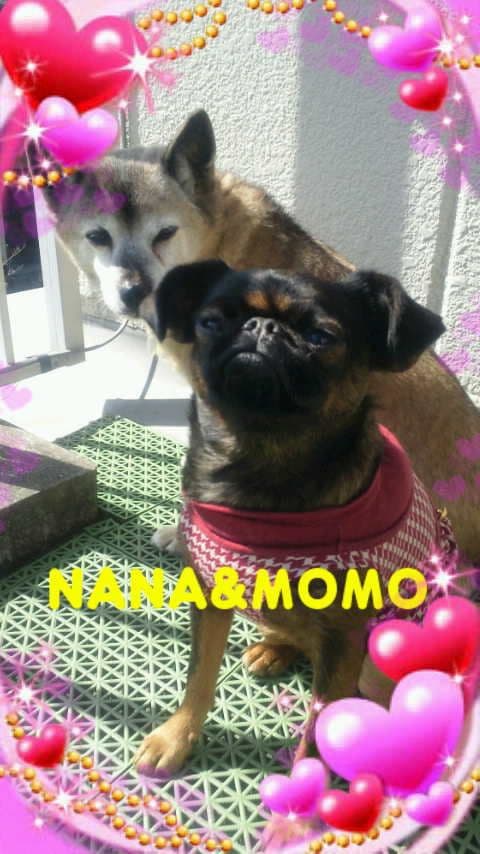 ＡＫＡＲＩさまへ