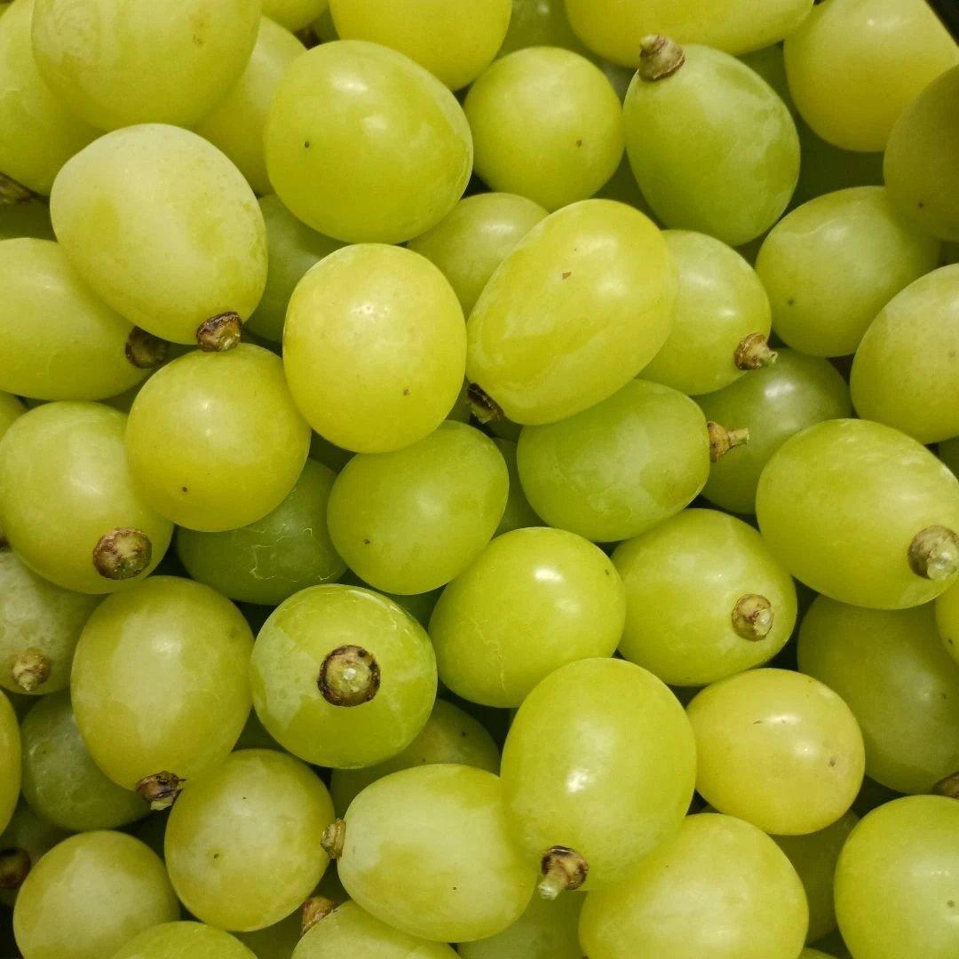 シャインマスカット増量の、徳用11キロ入りの粒バック入りになります。