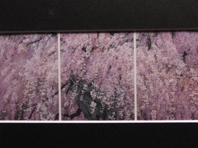 三栖右嗣、爛漫、希少な額装用画集より、新品高級額装付、状態良好