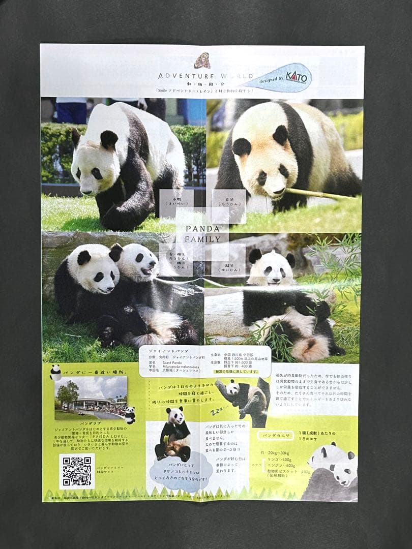 KATO 10-1506 287系 パンダくろしお 6両セット