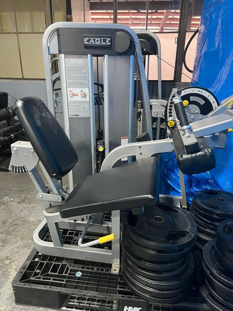 サイベックス　シーテッドレッグカール