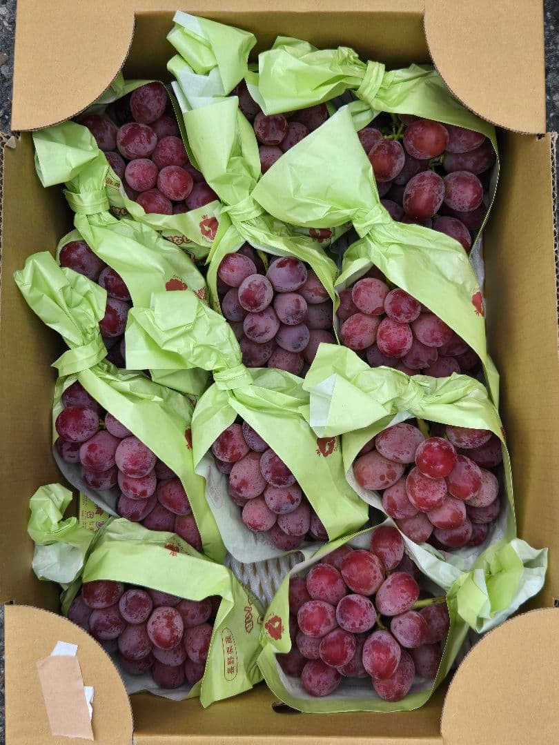 ☆朝採り農家直送☆クイーンルージュ☆厳選☆予約制☆2Lサイズ9房〜10 房