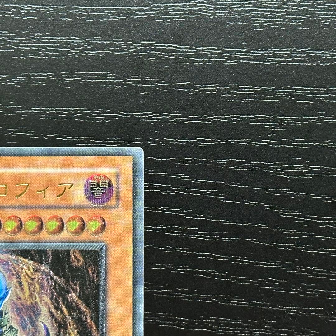 遊戯王 ダークネクロフィア レリーフ