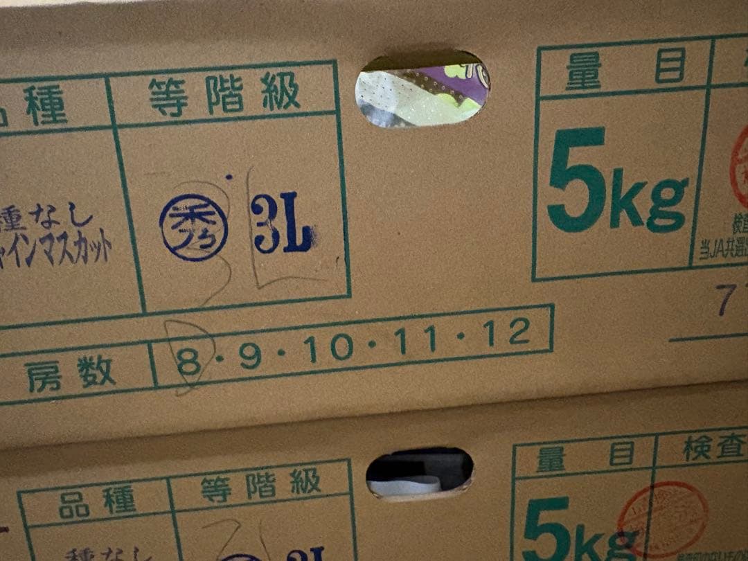 山梨県産　大粒　シャインマスカット！　8房セット　5kg