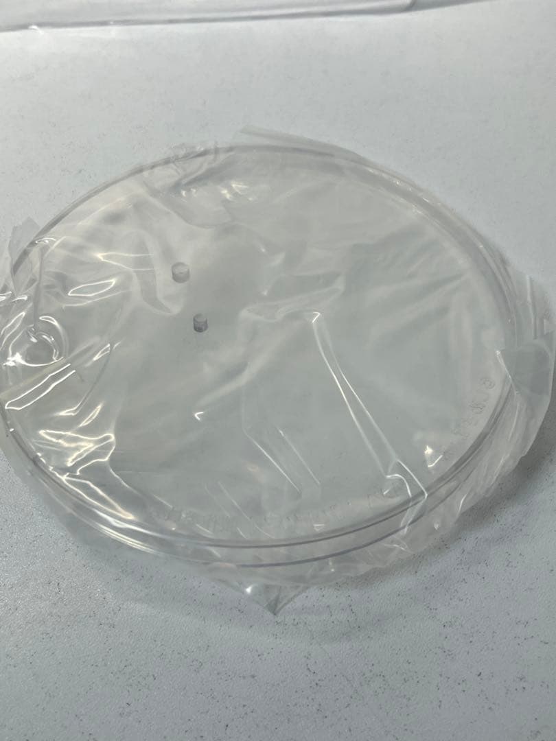 ひげを剃る。そして女子高生を拾う。 荻原沙優 フィギュア