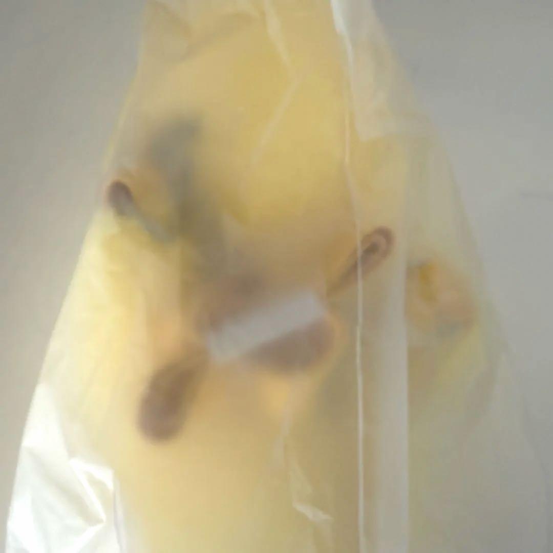 StrayKids スキズ SKZOO PLUSH BAG ポガリ フィリックス