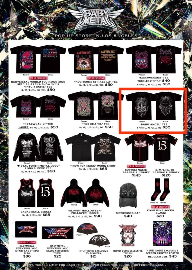 新品 Mサイズ US INTUIT DOME 限定 BABYL Tシャツ