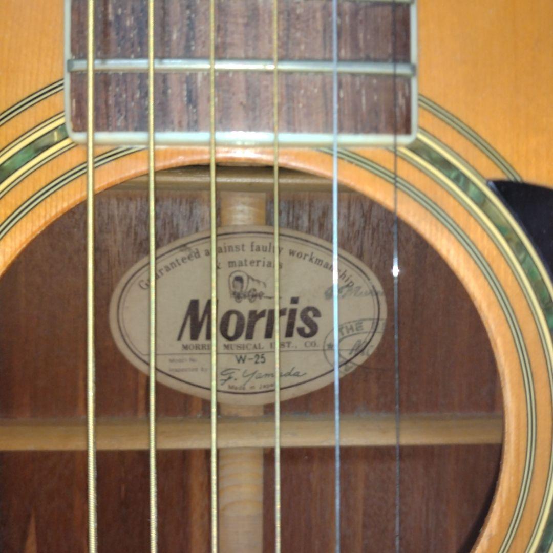 Morris W-25 アコースティックギター