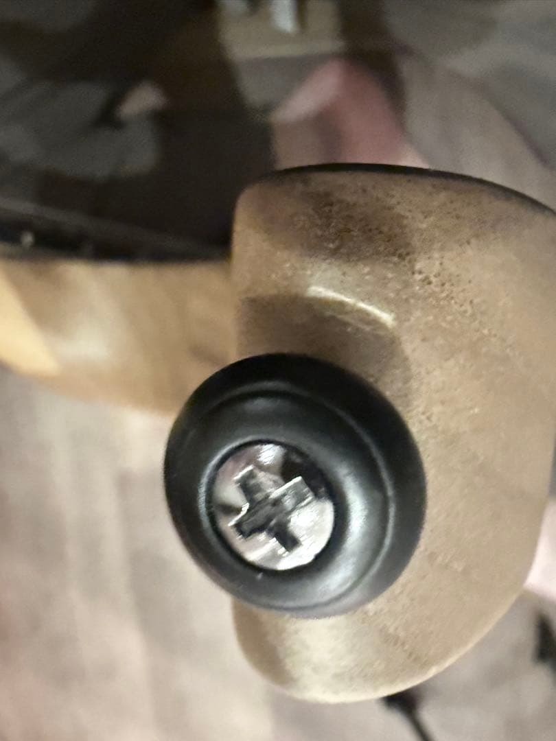 Schecter (シェクター) sRraper-6