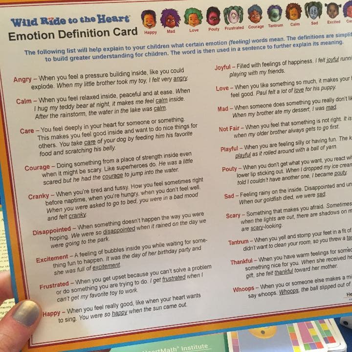 ワイルド ライド トゥ ザ ハート 自分の気持ちを考える・学ぶ為の ボードゲーム