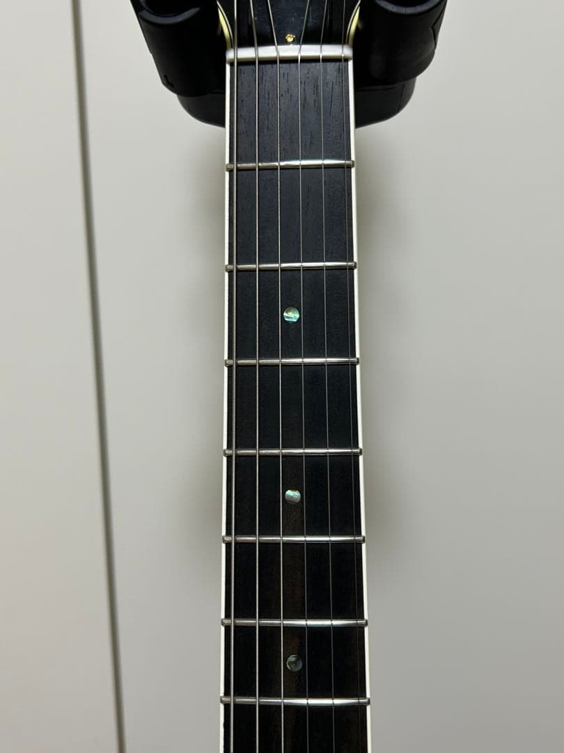 ギター ROZEO Ladybug-CB BG-CTM Bigsby