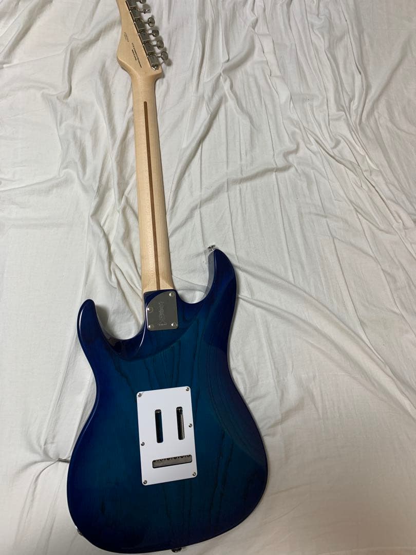 【最終値下中】FUJIGEN EOS2-ASH-M-SBB-01