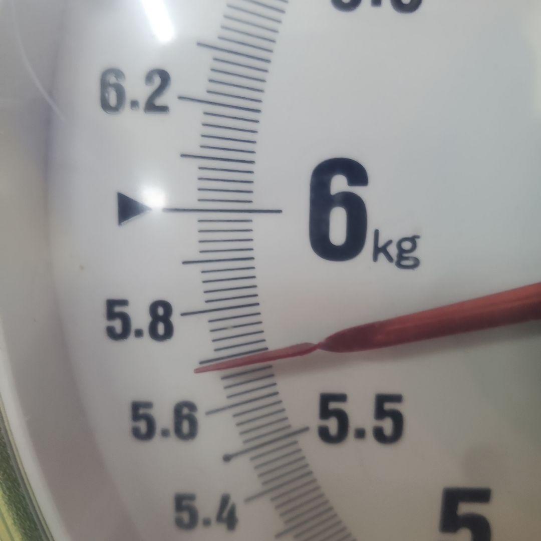 7️⃣8️⃣ 山梨県産 シャインマスカット 箱込み5.7キロ