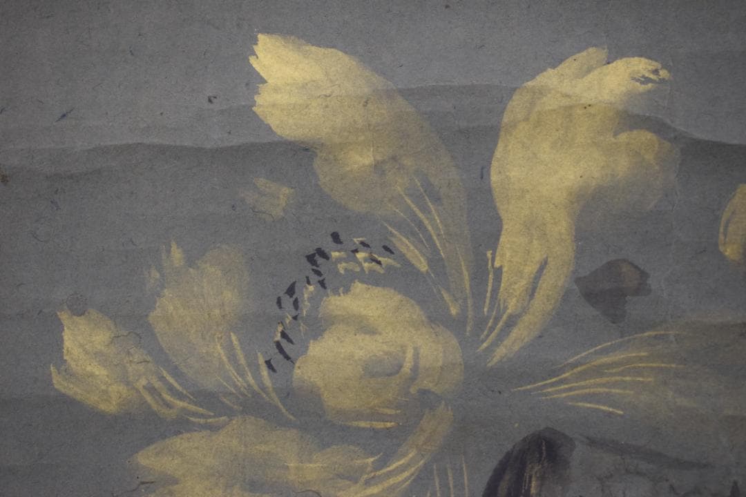 【真作】狩野養川院惟信/花図/牡丹図/掛軸☆宝船☆Y-610　JM