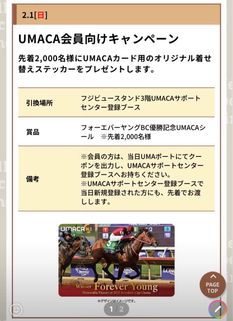 フォーエバーヤング BC優勝記念 キャップ・シール・ポストカード3点セット