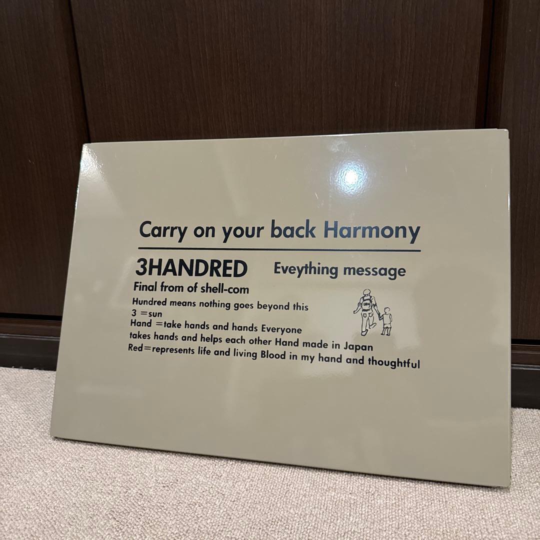 7月3日まで【レア】bushdebrunt harmony25 タンカラー