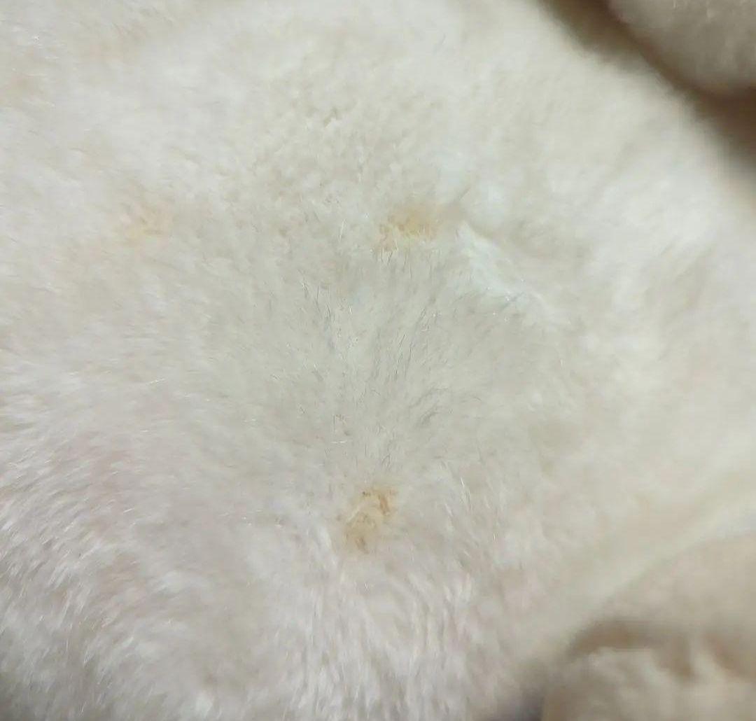 #白くてかわいいもの・heart&heart 豚のぬいぐるみ ナカジマ昭和レトロ