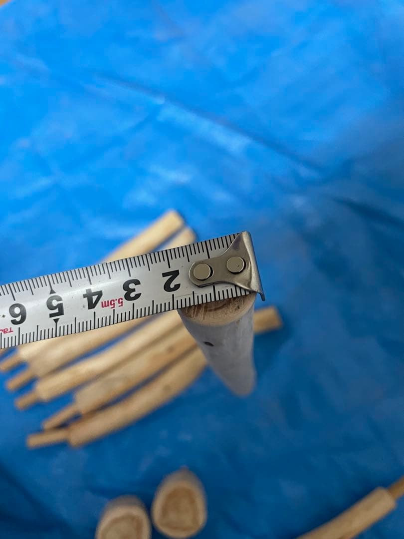 国産ヒノキ　鳥用止まり木　中型インコ用　スタンド　約100センチ