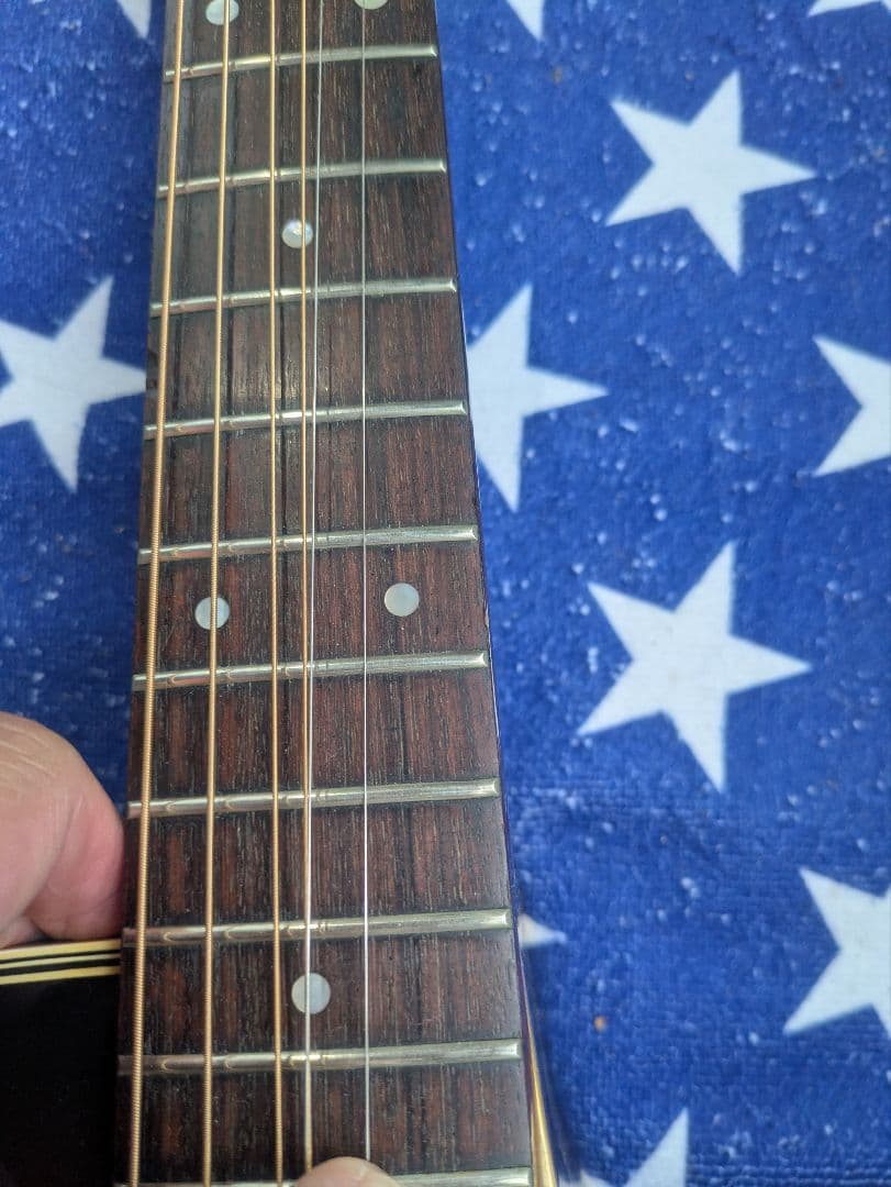 タカミネ　PT-106