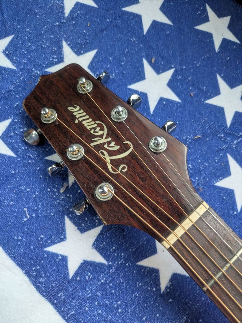 タカミネ　PT-106