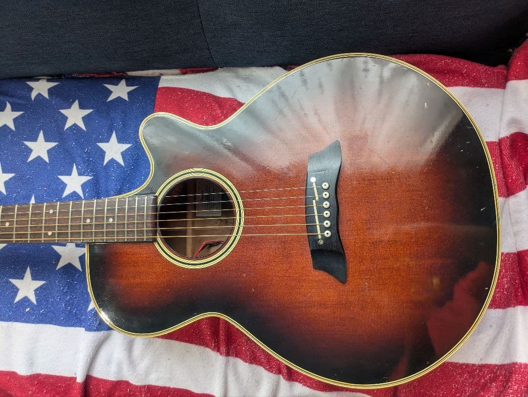 タカミネ　PT-106